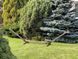 Стойка для гамака деревянная WCG Каркас для Гамака (палисандр) WCGWOODS(p) фото 1